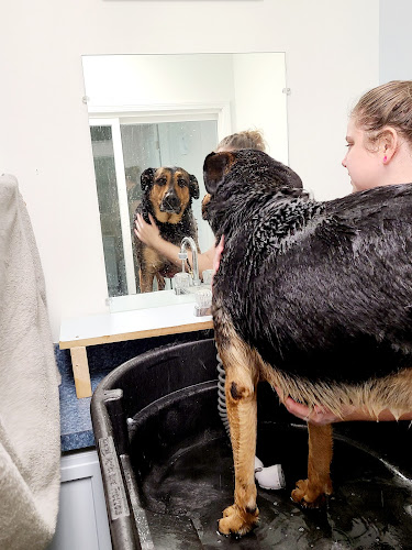 Lovely Pets Grooming, LLC