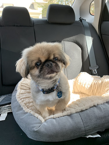 Loving Touch Pet Salon