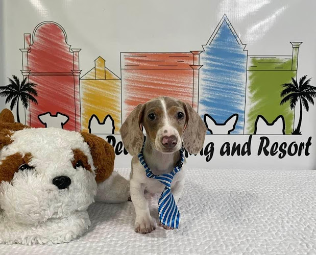 Lowcountry Pet Grooming and Resort