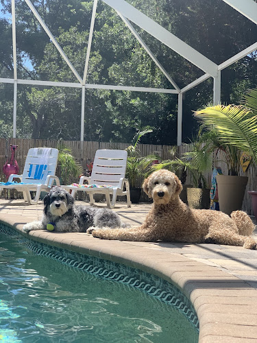 Lucia's Pet Grooming Salon