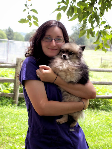 Lucky Chance Pet Resort & Spa