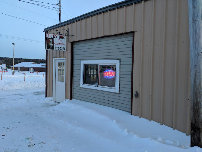 Lucky Dog Pet Grooming