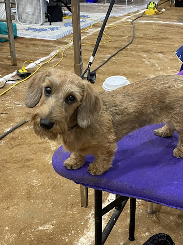 Lucky Dogs Canine Grooming