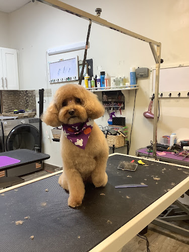 Lucky Paws Pet Grooming (Under New Ownership)