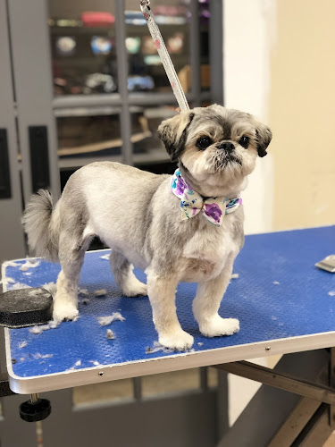 Lucky Paws Pet Grooming (Under New Ownership)