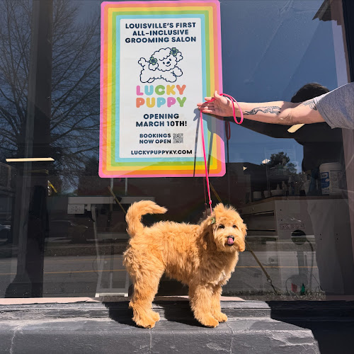 Lucky Puppy Dog Grooming