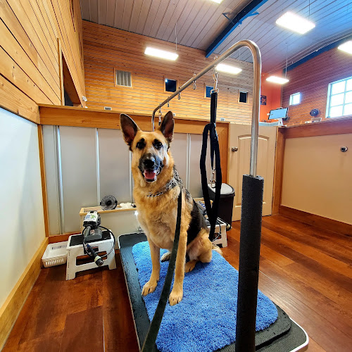 Lucky Puppy Nail Specialists LLC