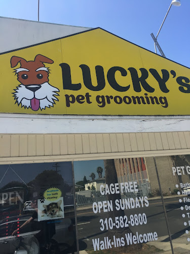 Lucky's Pet Care