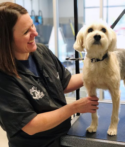 Lucy's Doggy Daycare and Spa