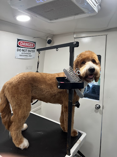 Lulu’s Pet Grooming