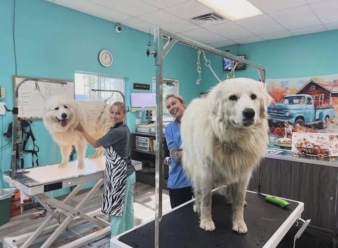 Luther’s Pooch Parlor Ponderay