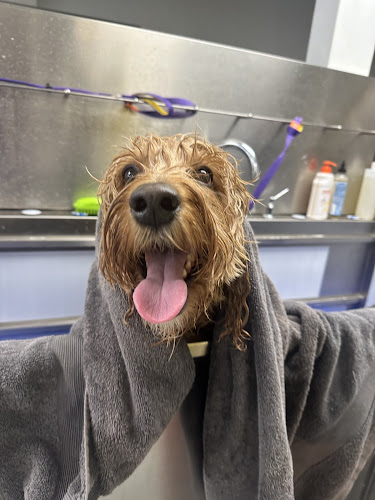 Luv Kuts Dog Grooming