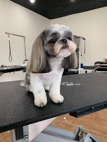 Lux grooming boutique