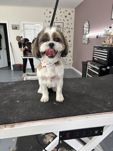 Luxe Fur Lounge, LLC