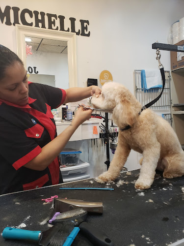 Luxury Pet Spa & Boutique