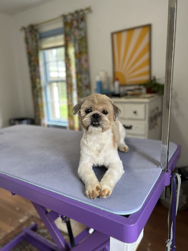 Maggie The Dog Groomer