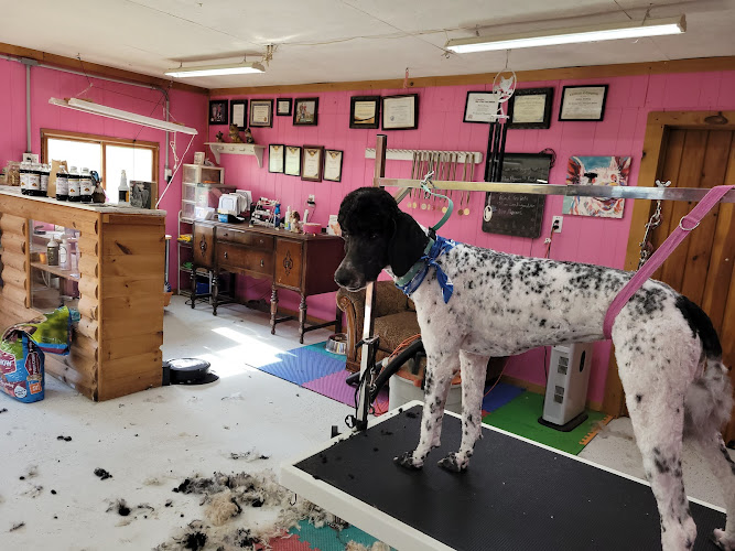 Magic Wand Grooming Salon