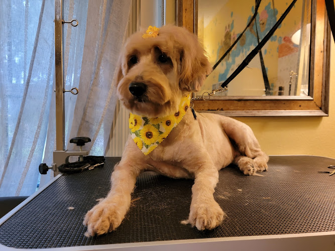 Mama Love's Dog Grooming & boarding