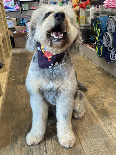 Mane & Minks Vet-Spa And Pet Hotel