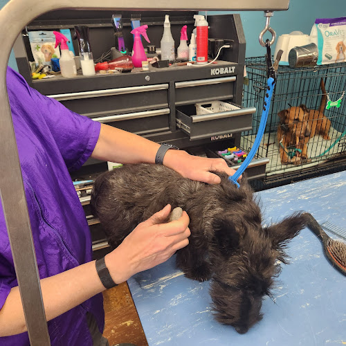 Marcie n Mack Pet Salon & Self Wash