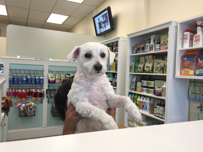 Marie's Pet Grooming