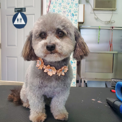 Marilyn's Pet Grooming