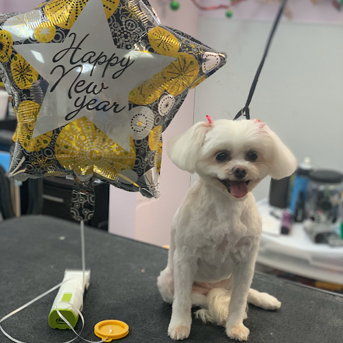 Maruchi’s Dog Grooming & Boarding