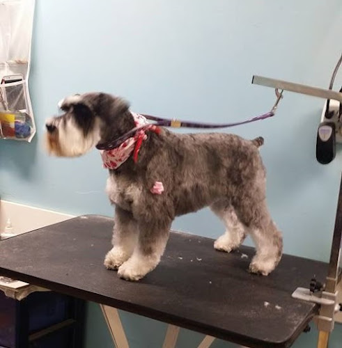 Mary Jo's Pet Grooming