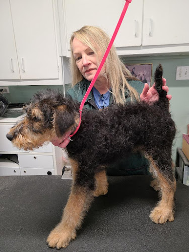 Mary's Grooming Boutique