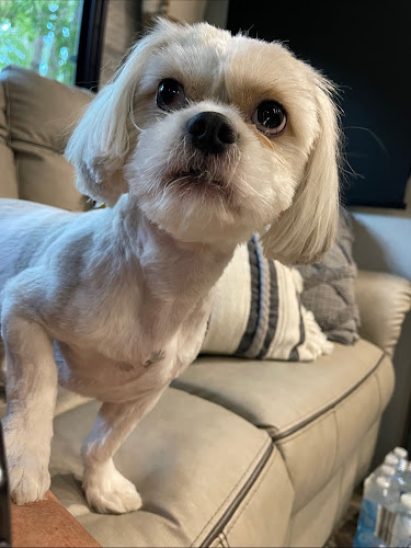 Mary's Grooming Station