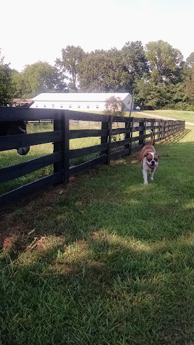 Masters Boarding Kennels