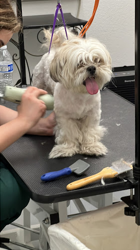 Mauis Dog Grooming