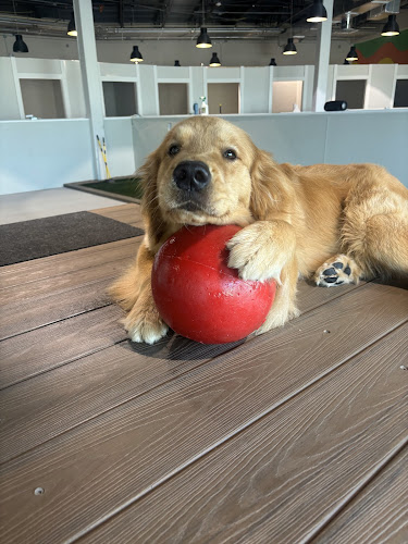 Max's Pet Market & Salon Fort Myers