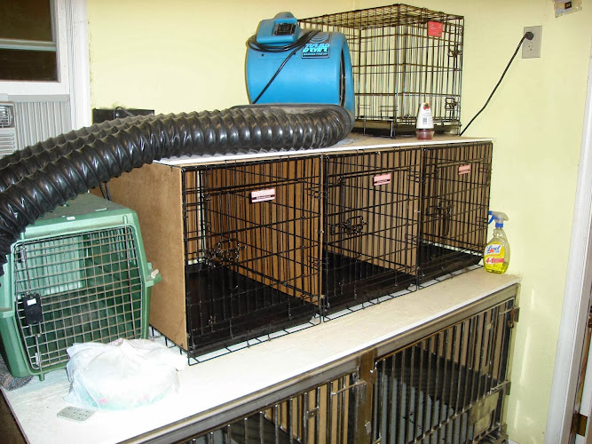 Melinda's Canine Cuts