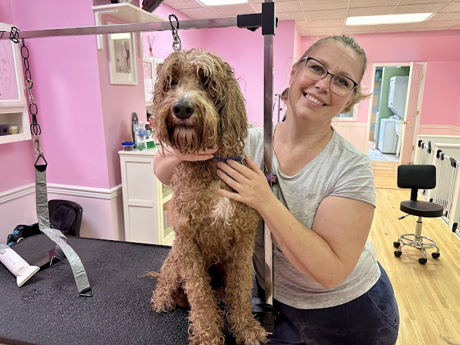 Mellow pet grooming and spa