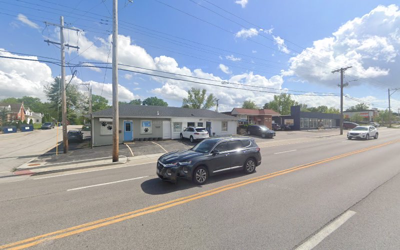 Merritt's Puppy Love