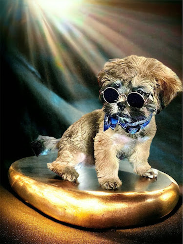 Michael's Mobile Grooming llc.