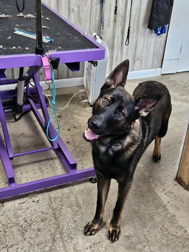 Michele's Country Suds Dog Spa