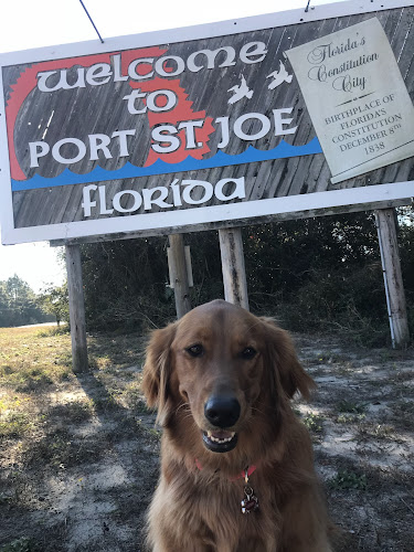 Michelle's Pet Salon