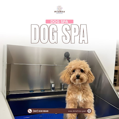 Mishka Grooming
