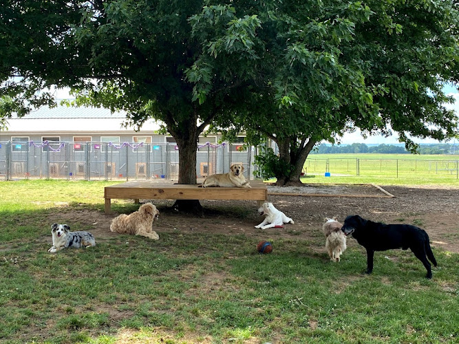 Missy Liu's Bed & Biscuit