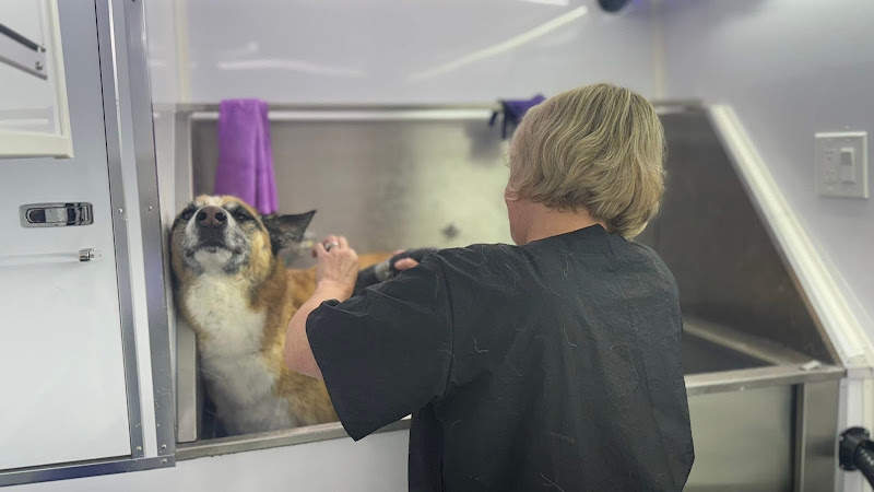 Mobile Dog Grooming