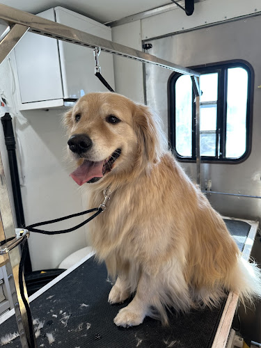 Mobile Dog Grooming Service