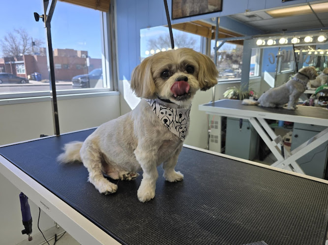 MON CHÉRI Pet Salon & Boutique