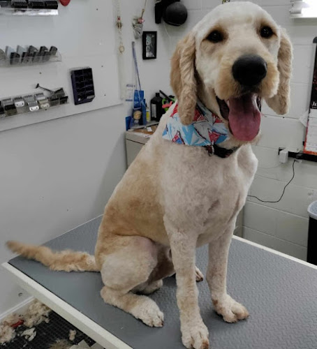 Mona's Pet X-Ing At Highview