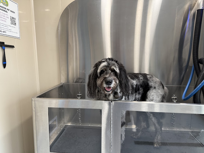 Monster Pet Wash - Debarr (Self-Serve)