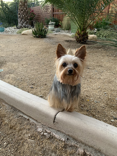 Moondoggies Pet Grooming Salon