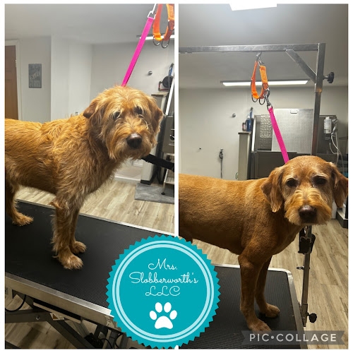 Mrs. Slobberworth's LLC