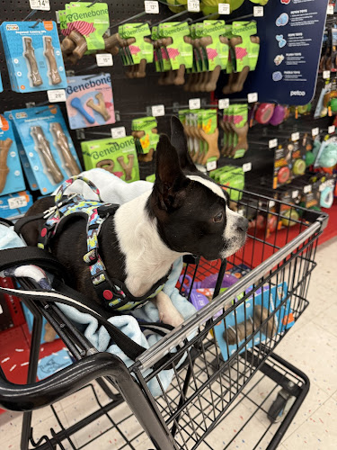 Ms. Maria's Grooming LLC