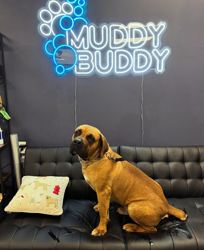 Muddy Buddy - Pet Wash & Grooming
